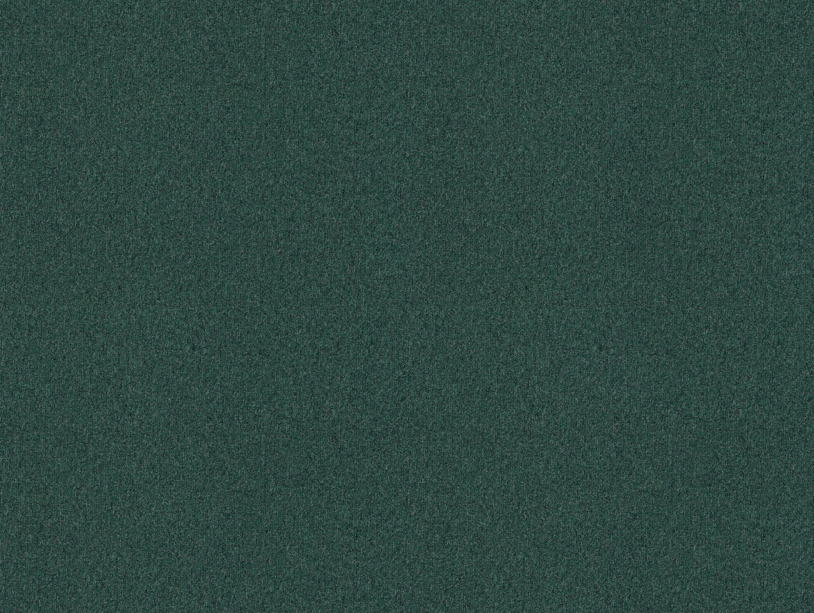 Tessera basis pro - 4132 arctic green